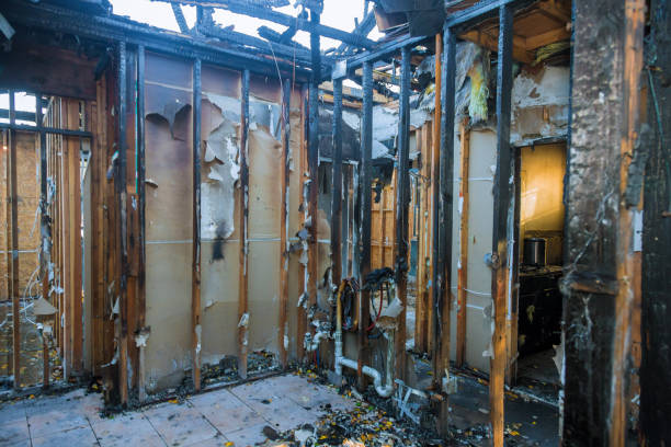 Professional Odor Removal technician working in Standish, MI